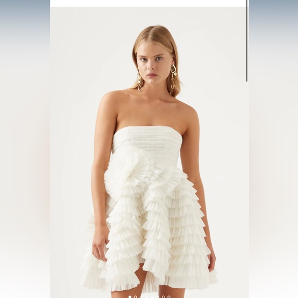 Aje Expressive Pleated Mini Dress - Picture 7 of 8